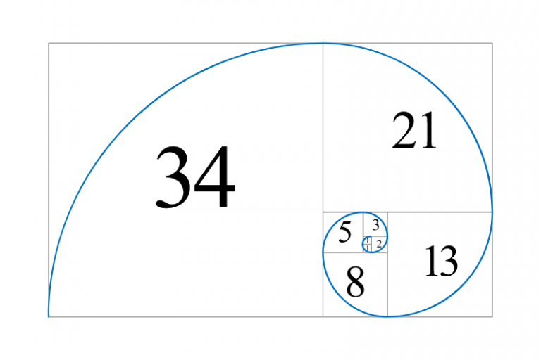The mathematical form of the Fibonacci spiral