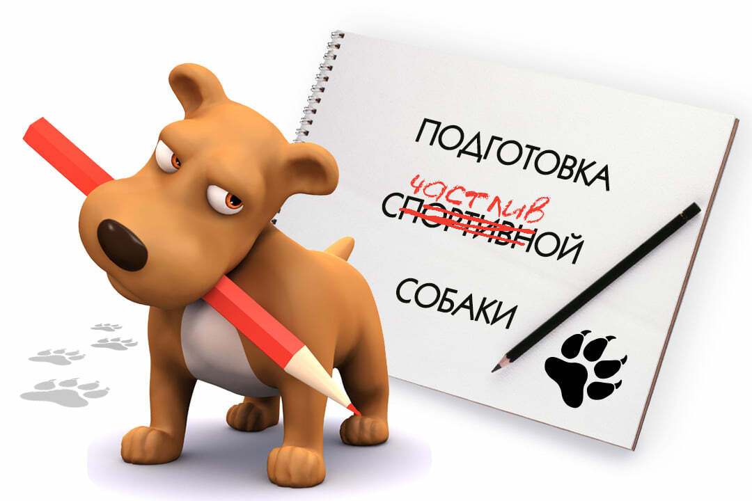 Онлайн-курс Базовая подготовка спортивной собаки.