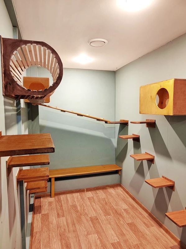 Каталог номеров в гостинице для кошек в Санкт-Петербурге