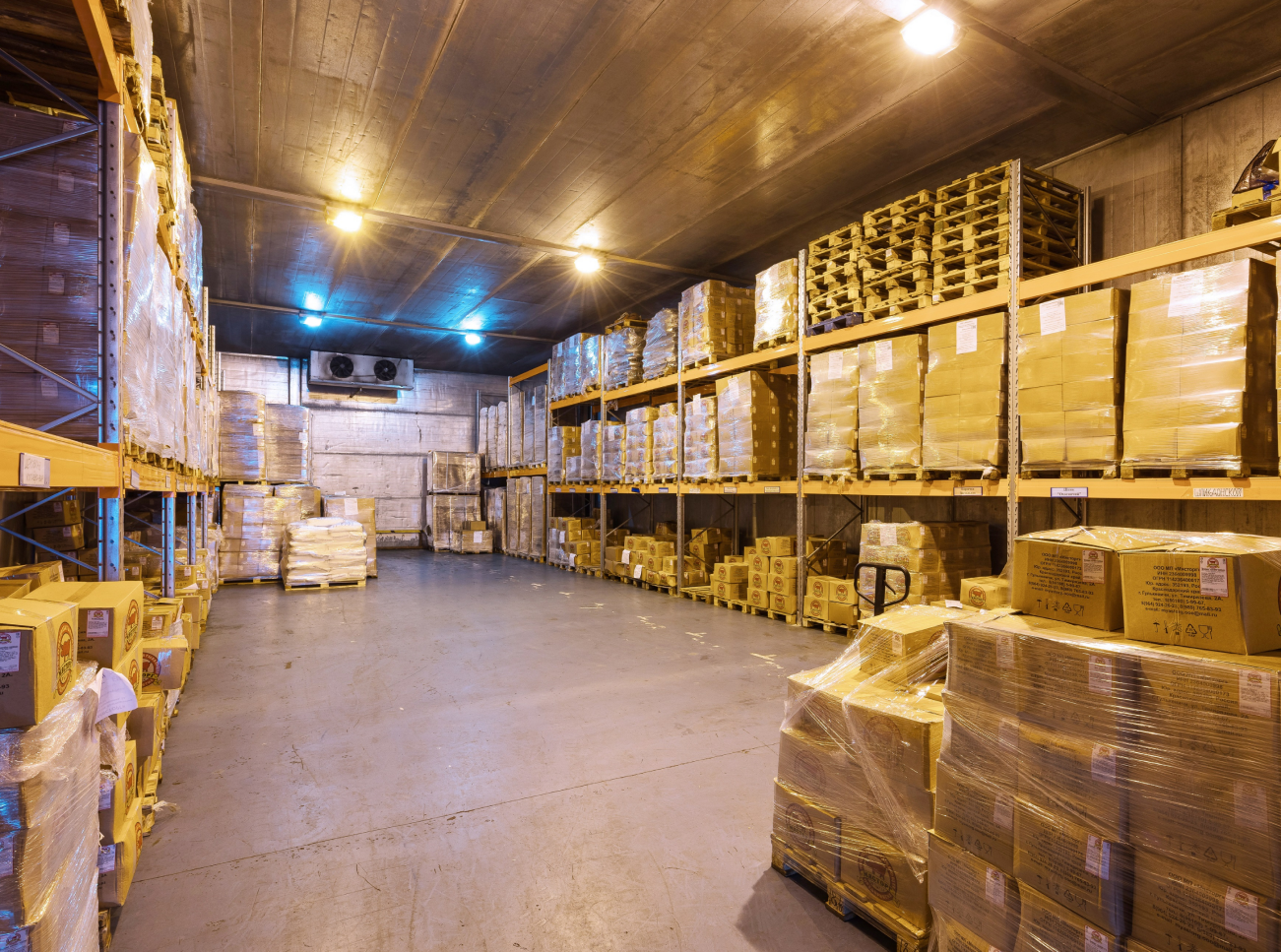 Морозильная камера — вид внутри