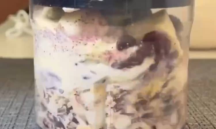 Приготовление паштета из фасоли и плавленного сыра: шаг 5