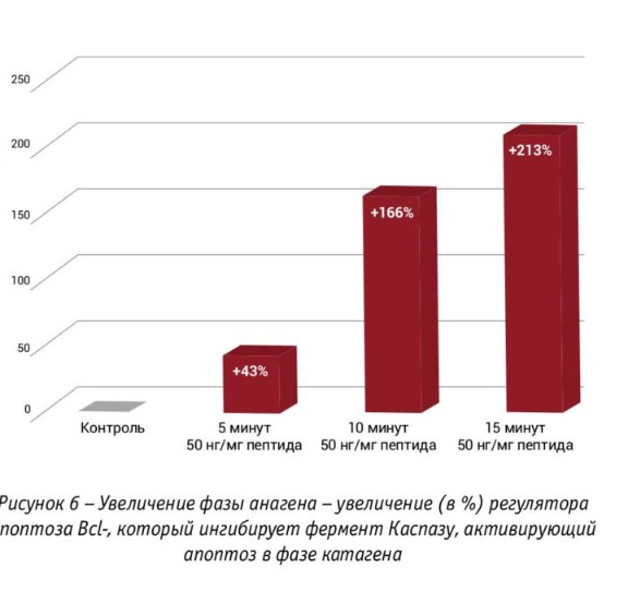 Рисунок 6. Увеличение фазы анагена