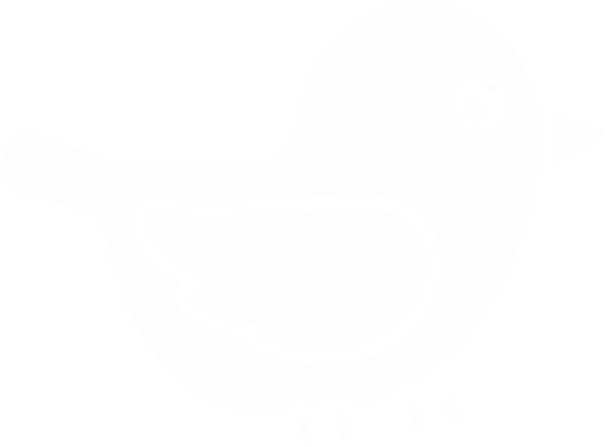 bird animation
