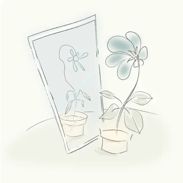 схема Дефективности