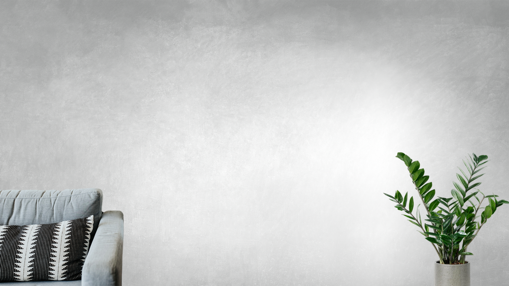 интерьер комнаты с серым диваном слева и зелёным растением справа в серой цветовой гамме