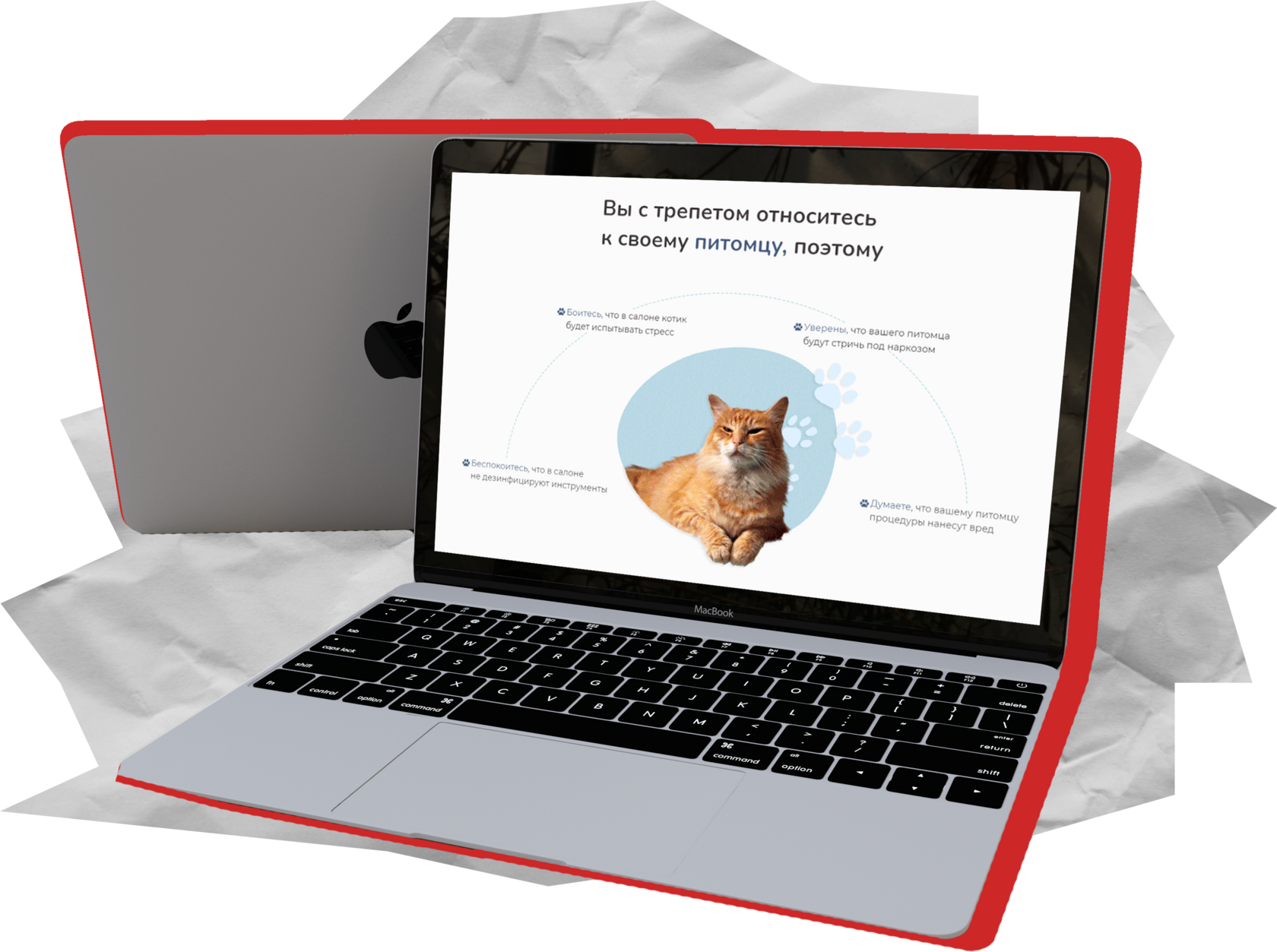 seo продвижение сайтов, услуги seo продвижения