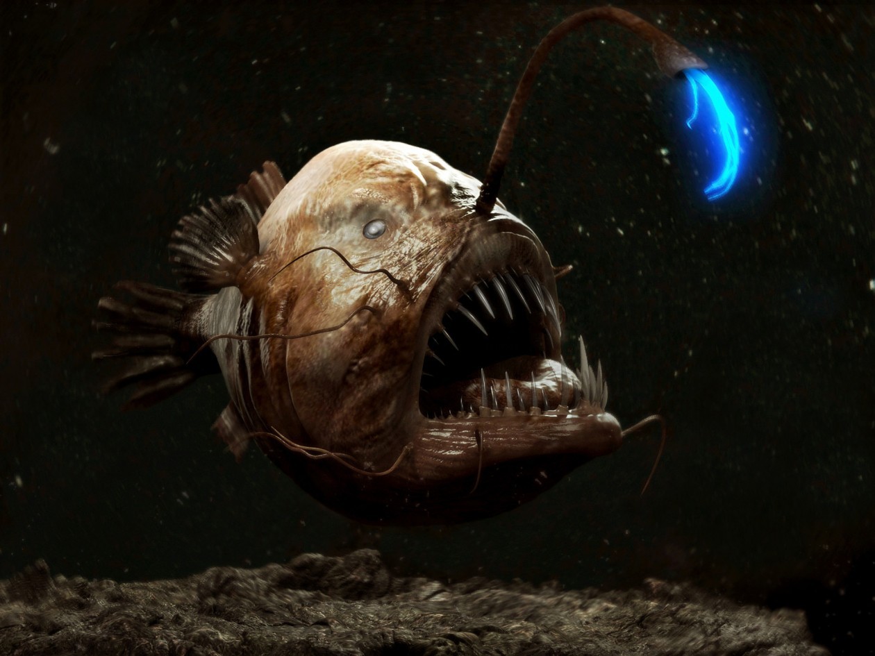 глубоководная рыба удильщик