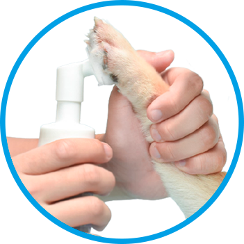 пенку Лапилапа удобно наносить на лапу собаки