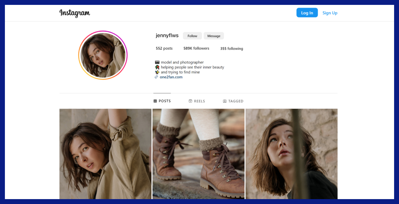 The screenshot shows a user profile from the web version of Instagram. The link in the web version is located approximately in the same place as in the app: in the bio, right under the description that the users add themselves.