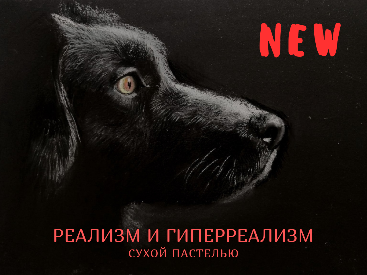 Онлайн-курсы по рисованию для начинающих и продолжающих