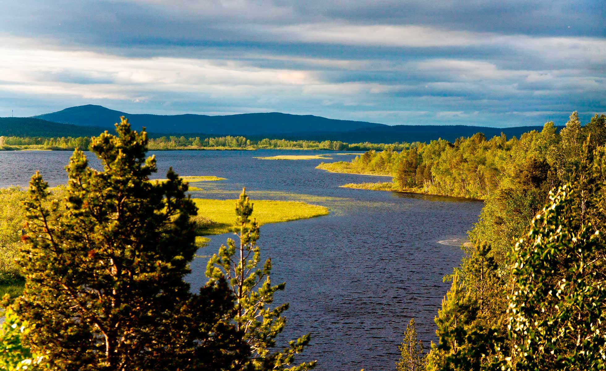Pasvik nature reserve in Murmansk region