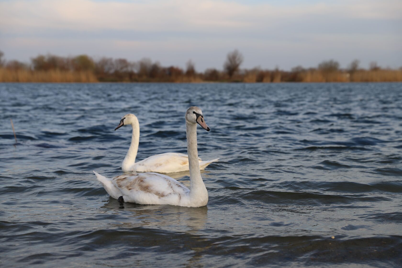 Усть-Лабинска сборный дом 3D-тур