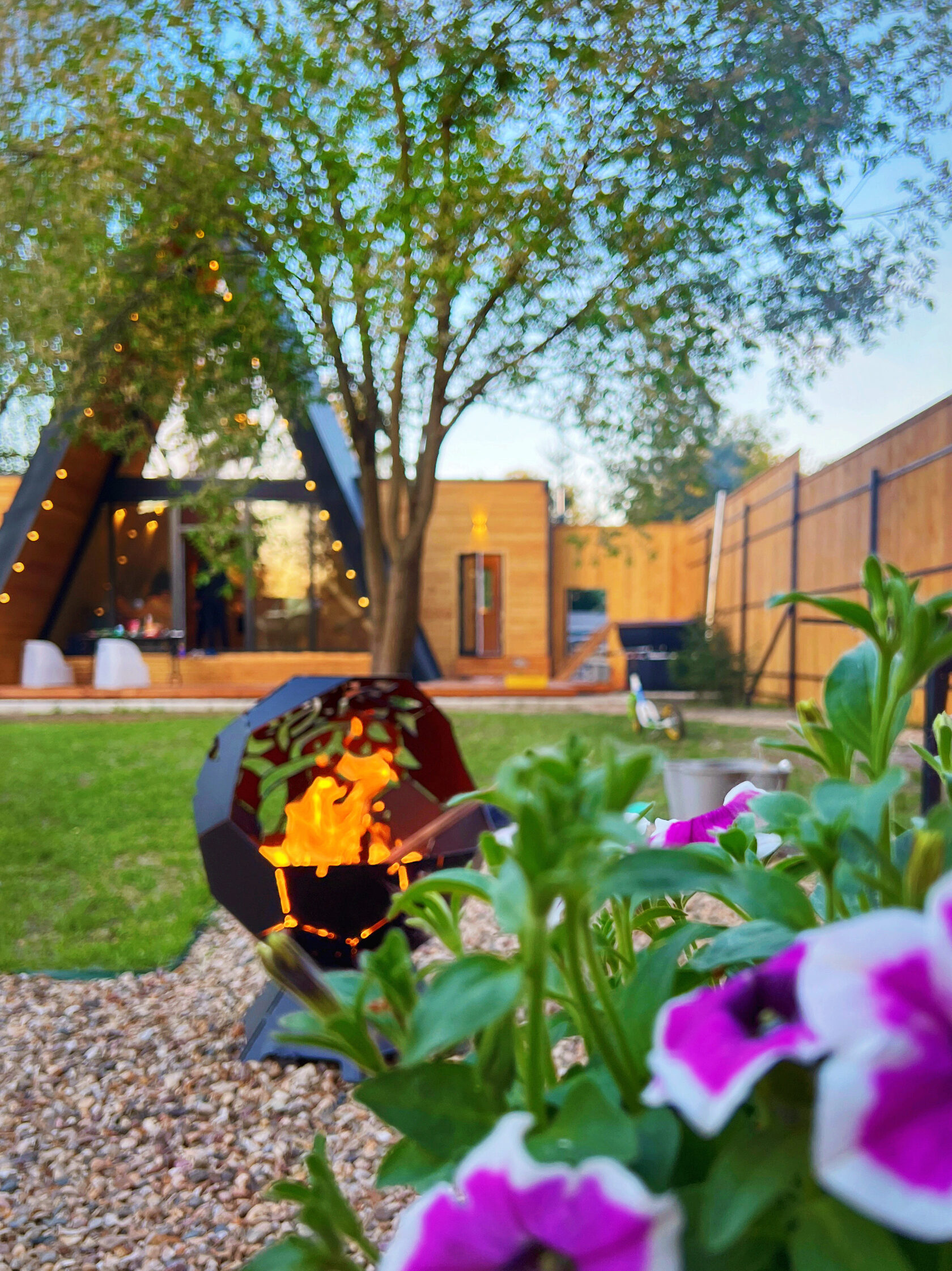 AURA Gold — фото 1