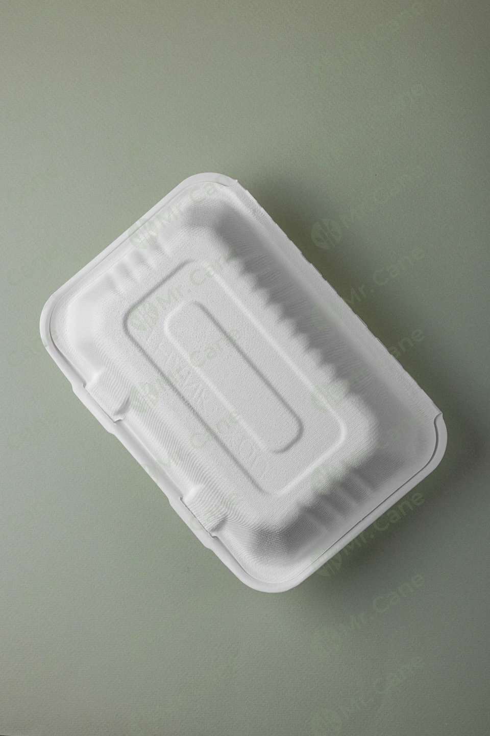 ланч бокс из сахарного тростника