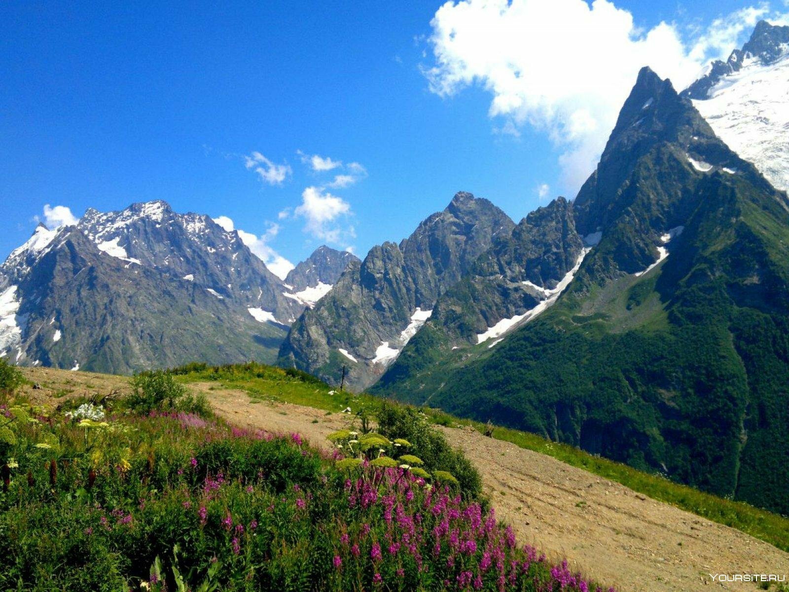 Горная вершина кавказа. Домбай Ульген гора. Домбай Альпийские Луга. Карачаево-Черкесия горы Домбай. Домбайская Поляна Карачаево-Черкесия.