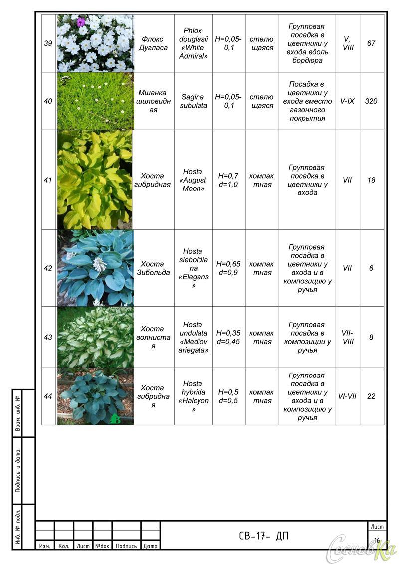 Флоксы схема посадки