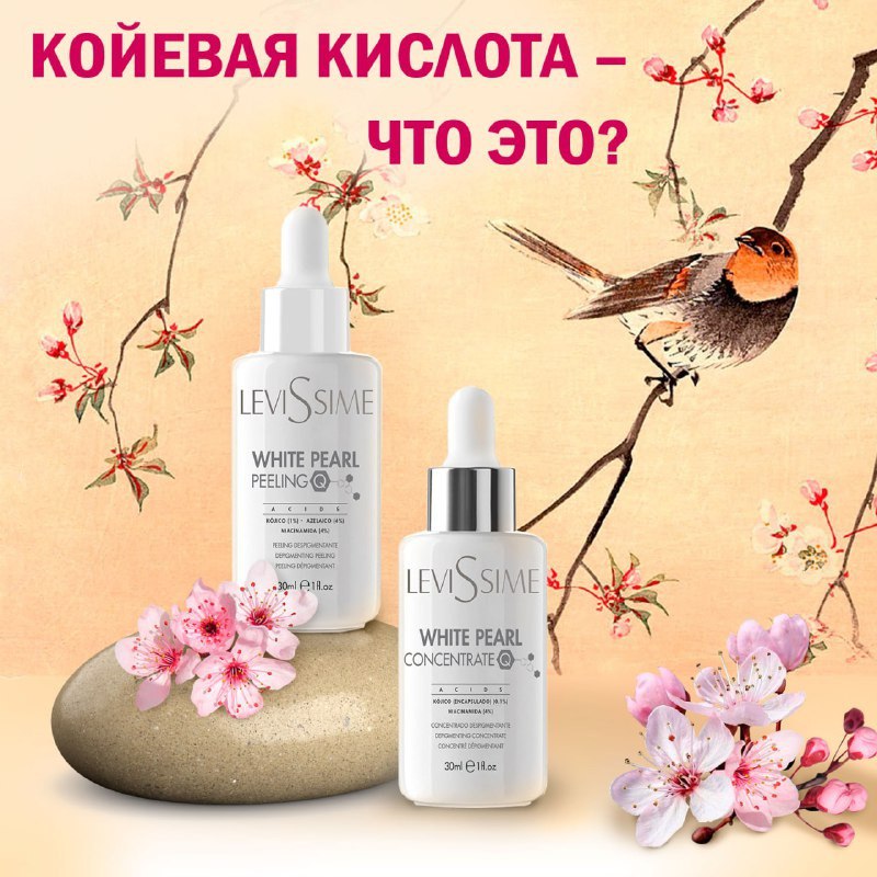 снять квартиру +в адлере без посредников -длительно, авито адлер снять квартиру, снять квартиру +в адлере посуточно недорого, снять квартиру рядом +с адлером, снять квартиру +в адлере посуточно рядом, снять квартиру +в адлере 2023 -недорого -год, адлер сн