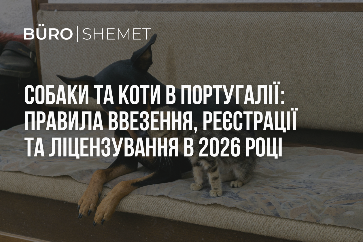 Собаки та коти в Португалії