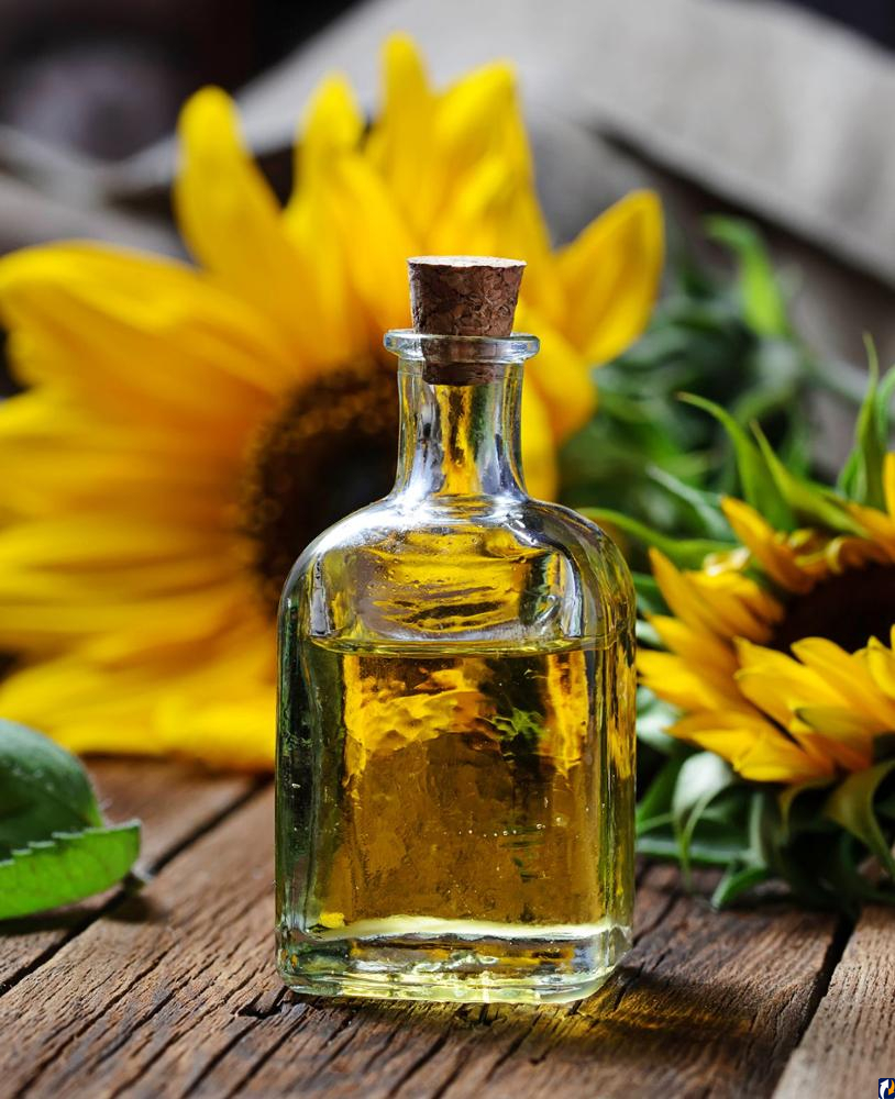 Подсолнечное масло – кладезь полезных веществ и витаминов