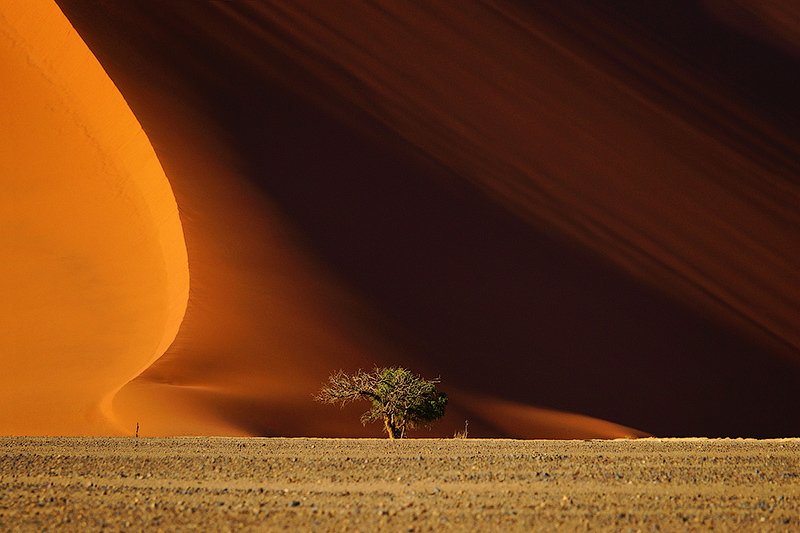 Тур ноября 2022. Намибия. Песчаные дюны Соссусфлей