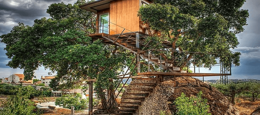 дом на дереве в Португалии