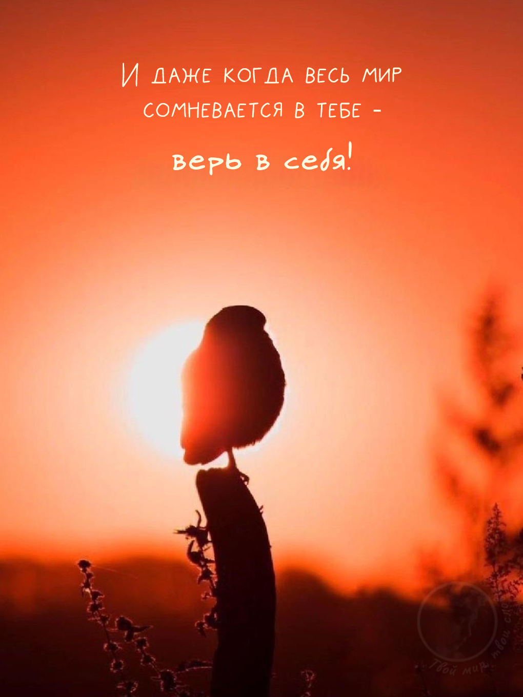 Картинки с добрыми цитатами: силуэт птицы на закате с мотивирующей надписью 