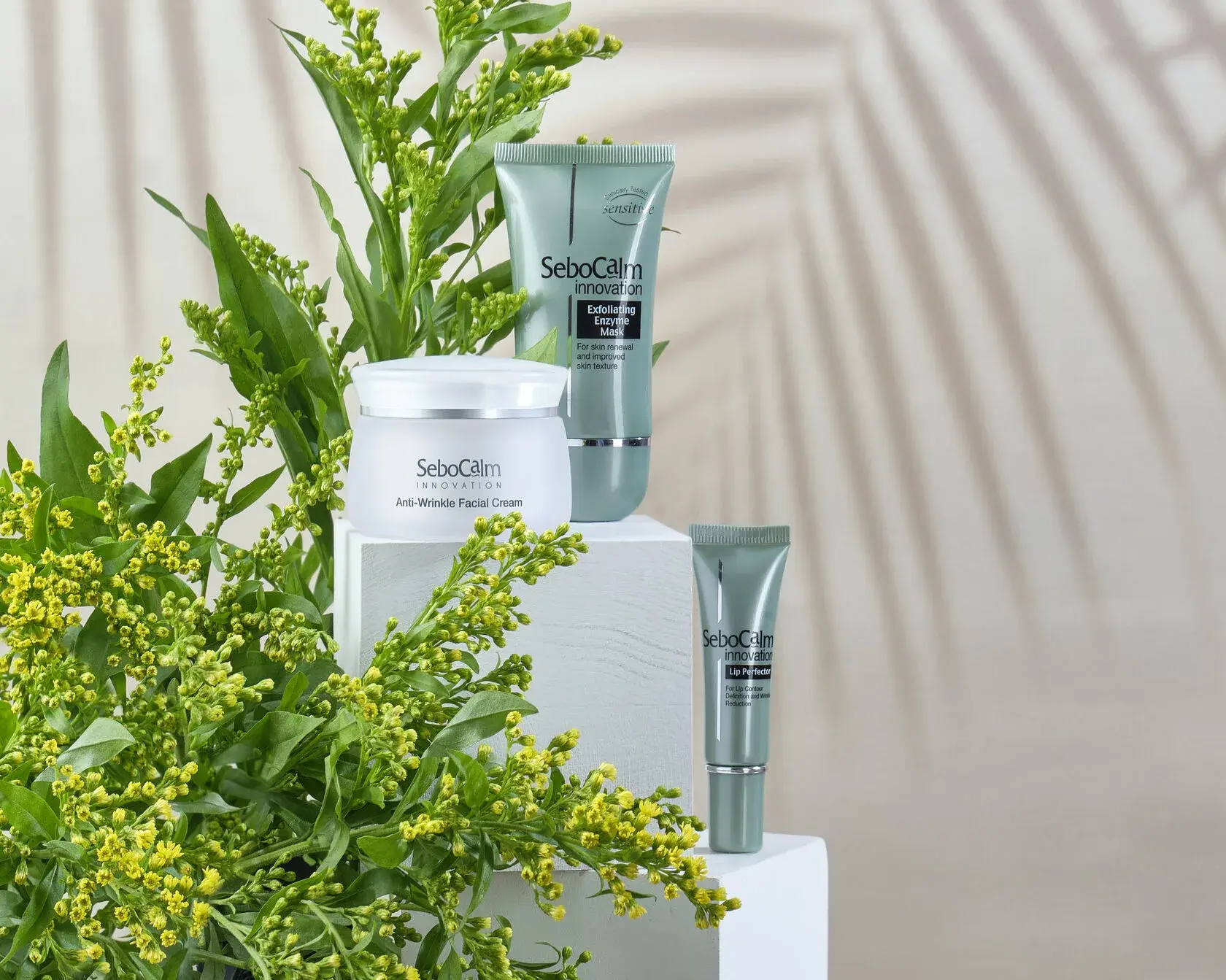 сет дизайн это