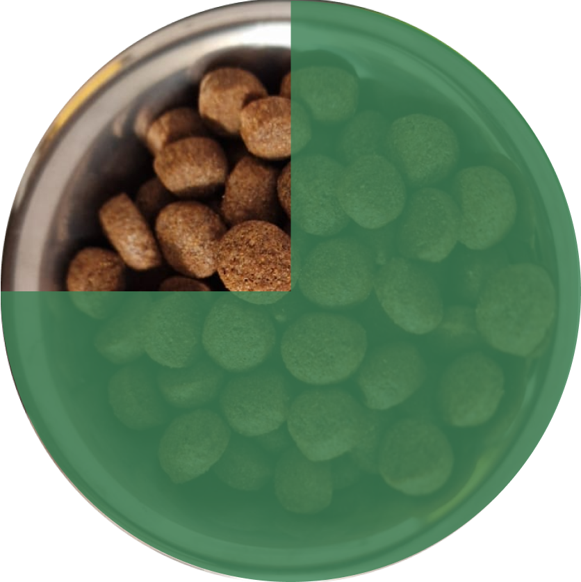 Правила перехода на сухой корм Frais 5-6 день 