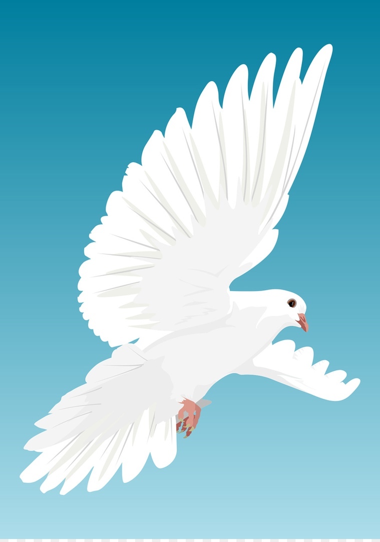 НКО "Голубка" г. Челябинск