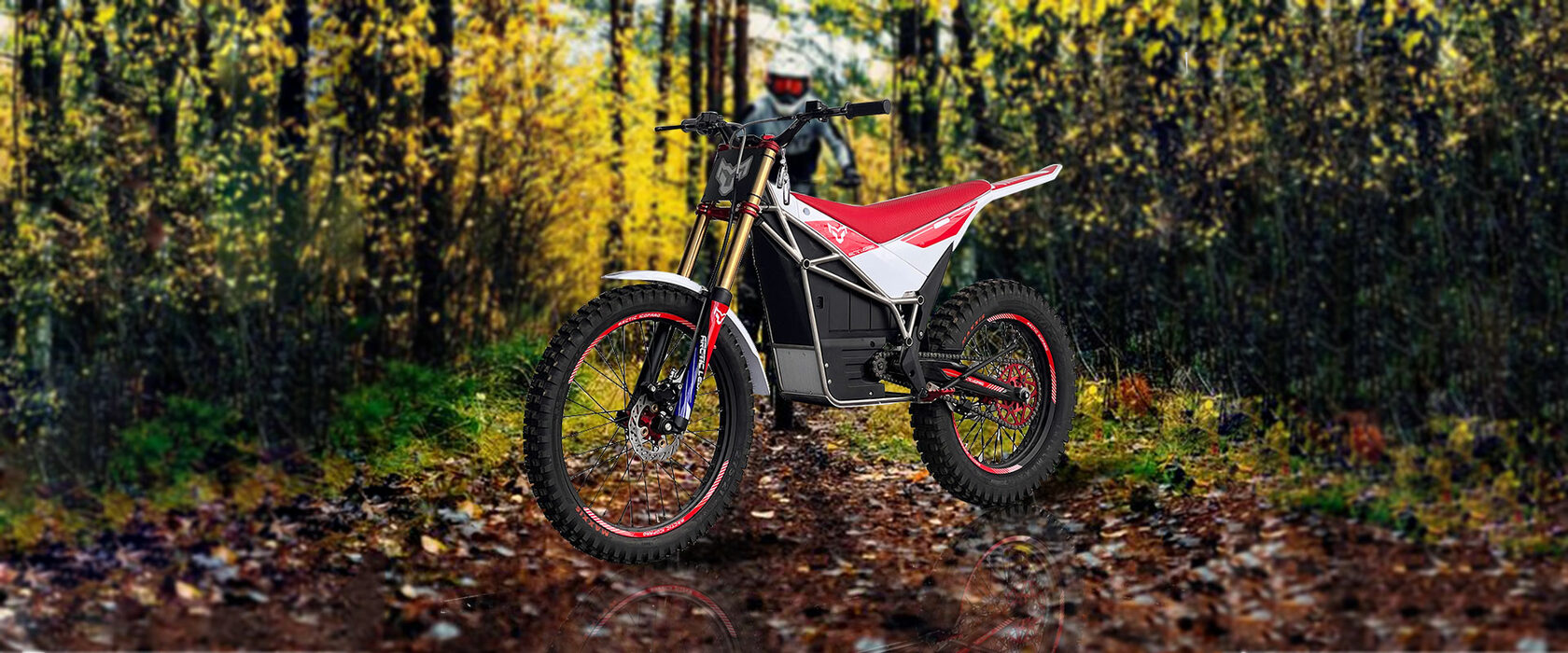Leopard exe 880. Арктик леопард электробайк. arctic leopard bike. arctic leopard.