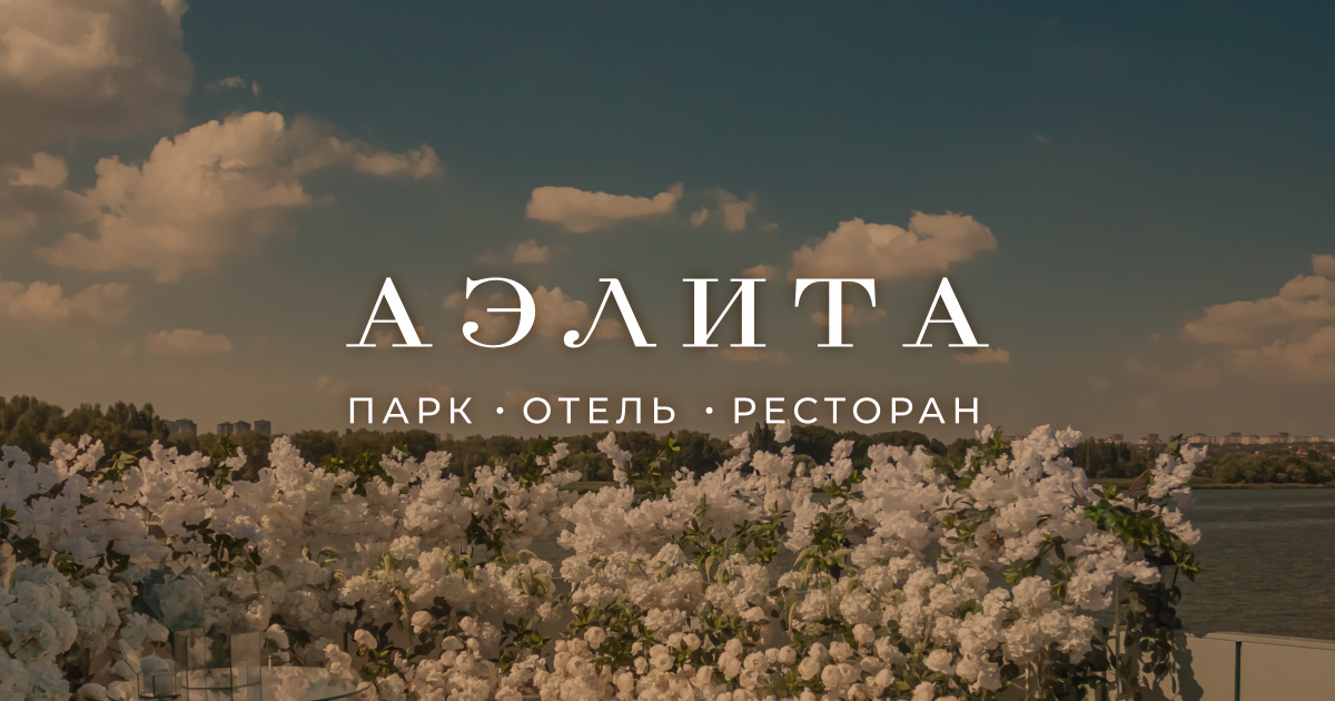 АЭЛИТА Меню