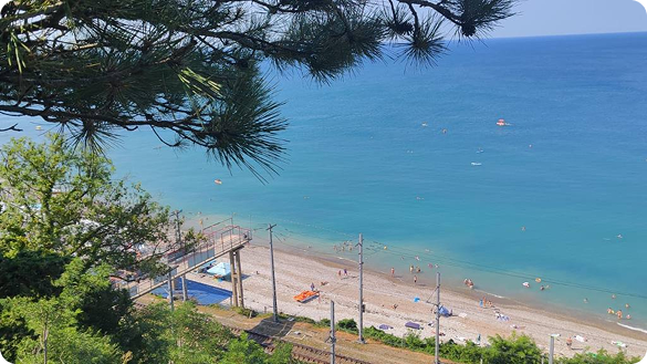 Территория пансионата