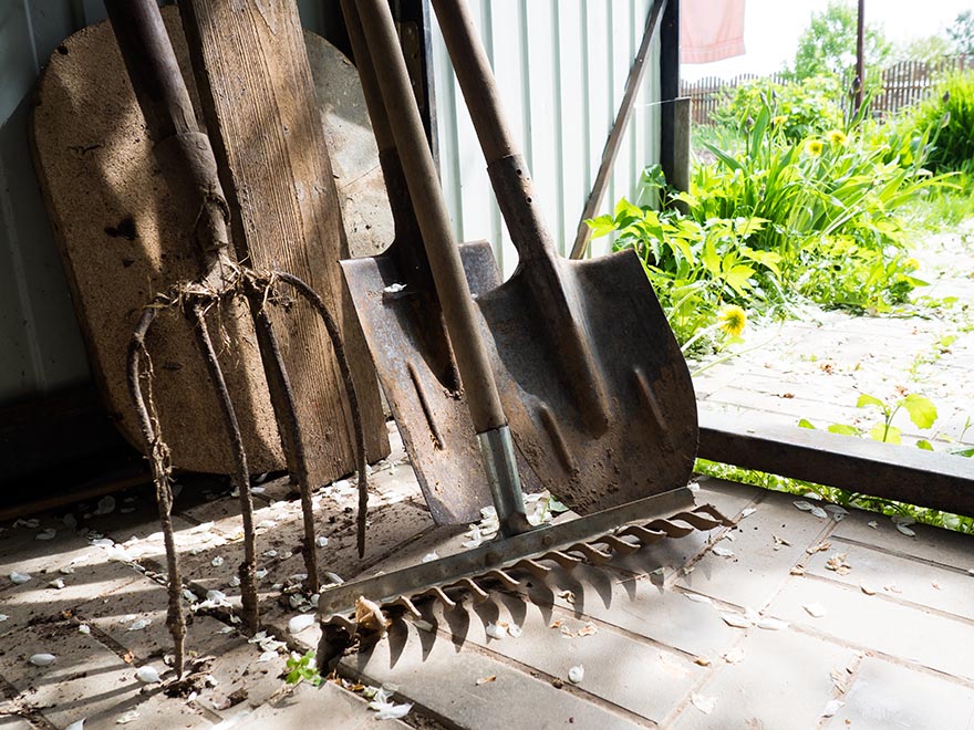 Gardening tools including a garden fork, shovel, and rake resting on a surface, with greenery visible in the background, illustrating essential equipment for starting a vegetable garden.