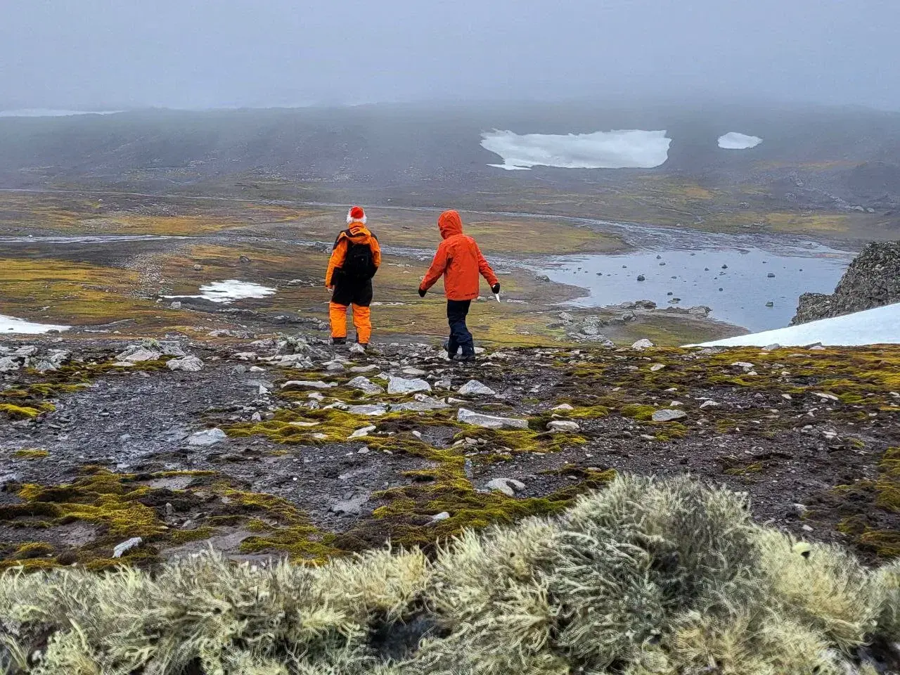 Participants of the Antarctic Science Camp hiking across the tundra near Bellingshausen Station on King George Island.
