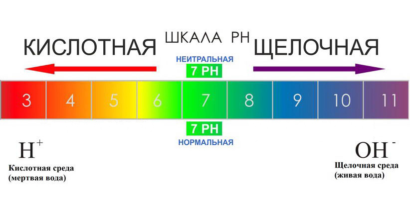 Кислотность ph среды и здоровье человека проект