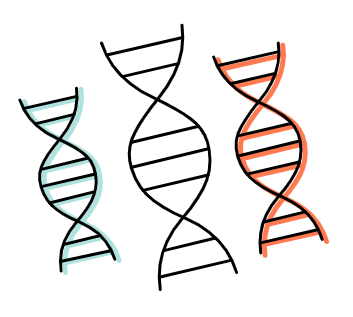 Наша миссия, сервис для поиска работы