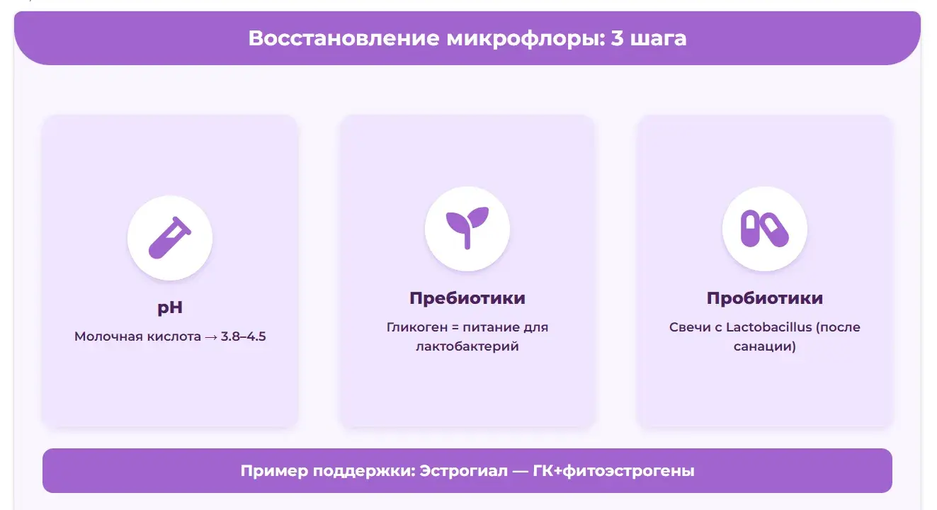 инфографика восстановления микрофлоры