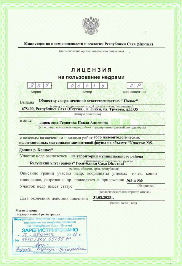 Лицензия на добычу бивней мамонта | Mamont Art