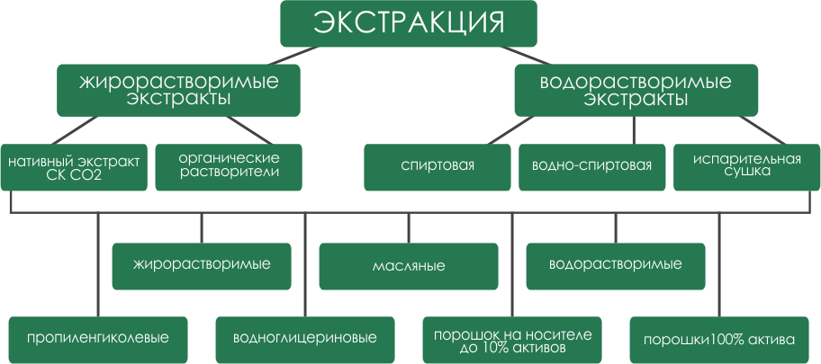 (PDF) Medvedev_-_Vvedenie_v_tatianazvezdochkina.ru | Desislava Georgieva - tatianazvezdochkina.ru