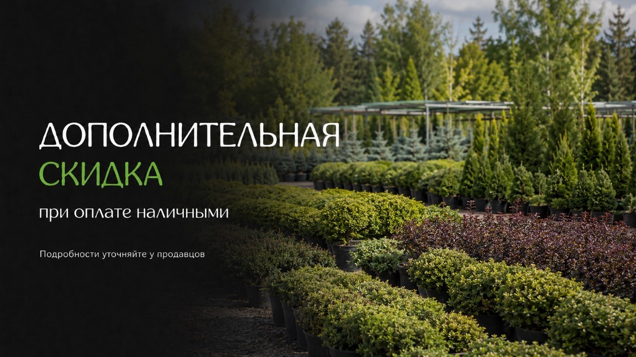Акция 1