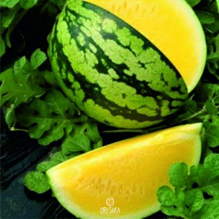 Seeds of Watermelon Yellow (Citrullus lanatus) — 10 pcs