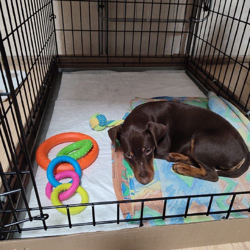 Акбеон Тирамису в 