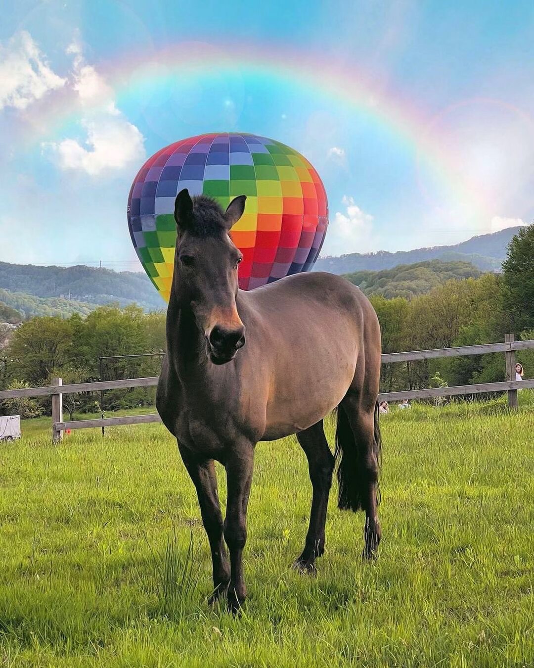 Мацеста + Ферма Экзархо