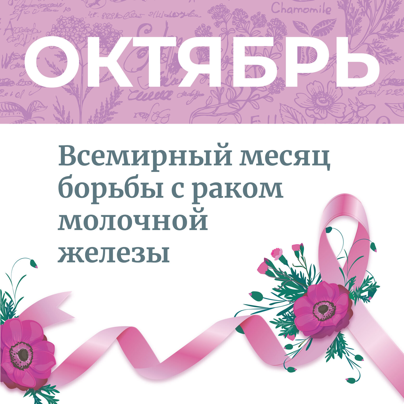 Всемирный месяц борьбы против рака молочной железы