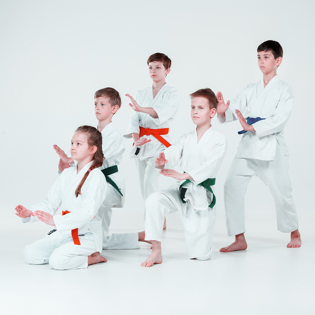 Sarah gets a karate lesson. Коллекция айкидо