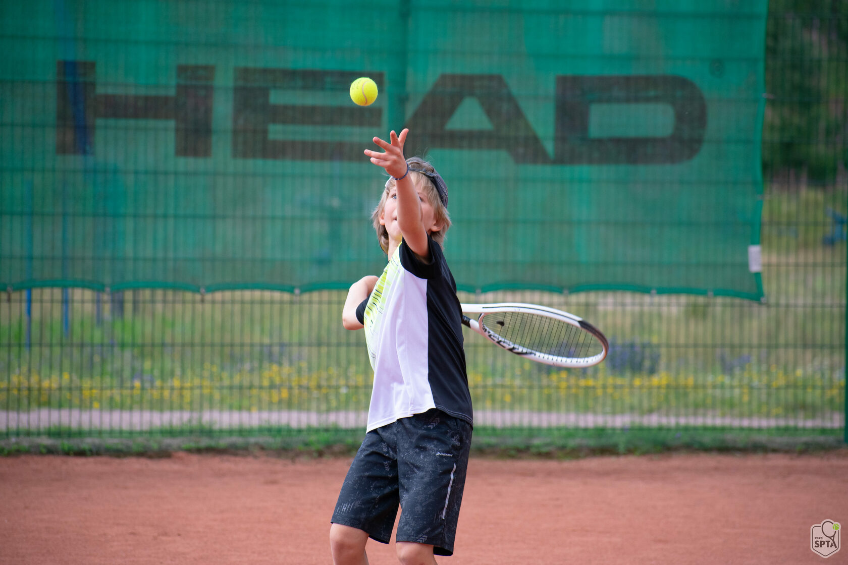 Зеленогорск спорт