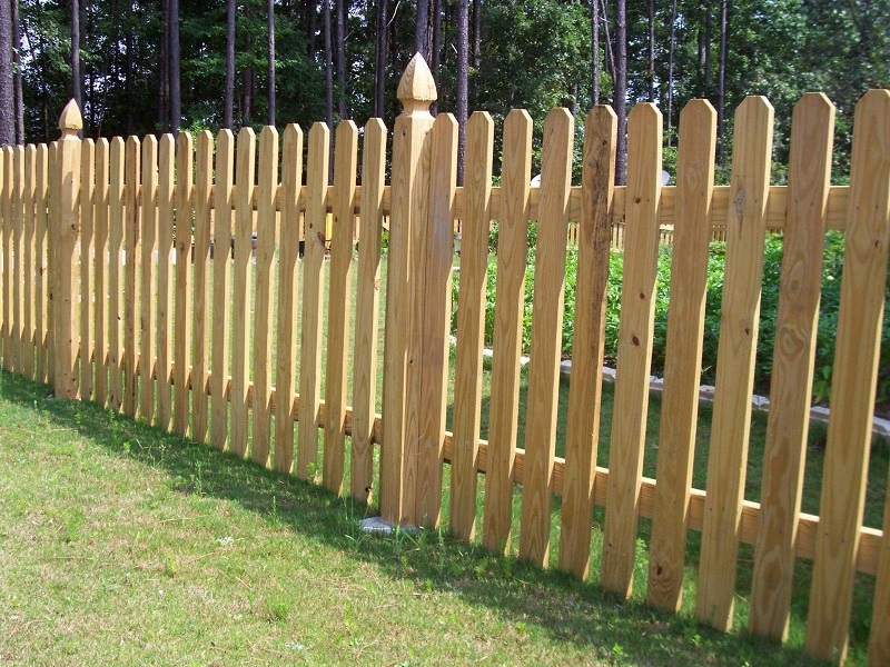 Забор из штакетника деревянного фото красивый дизайн