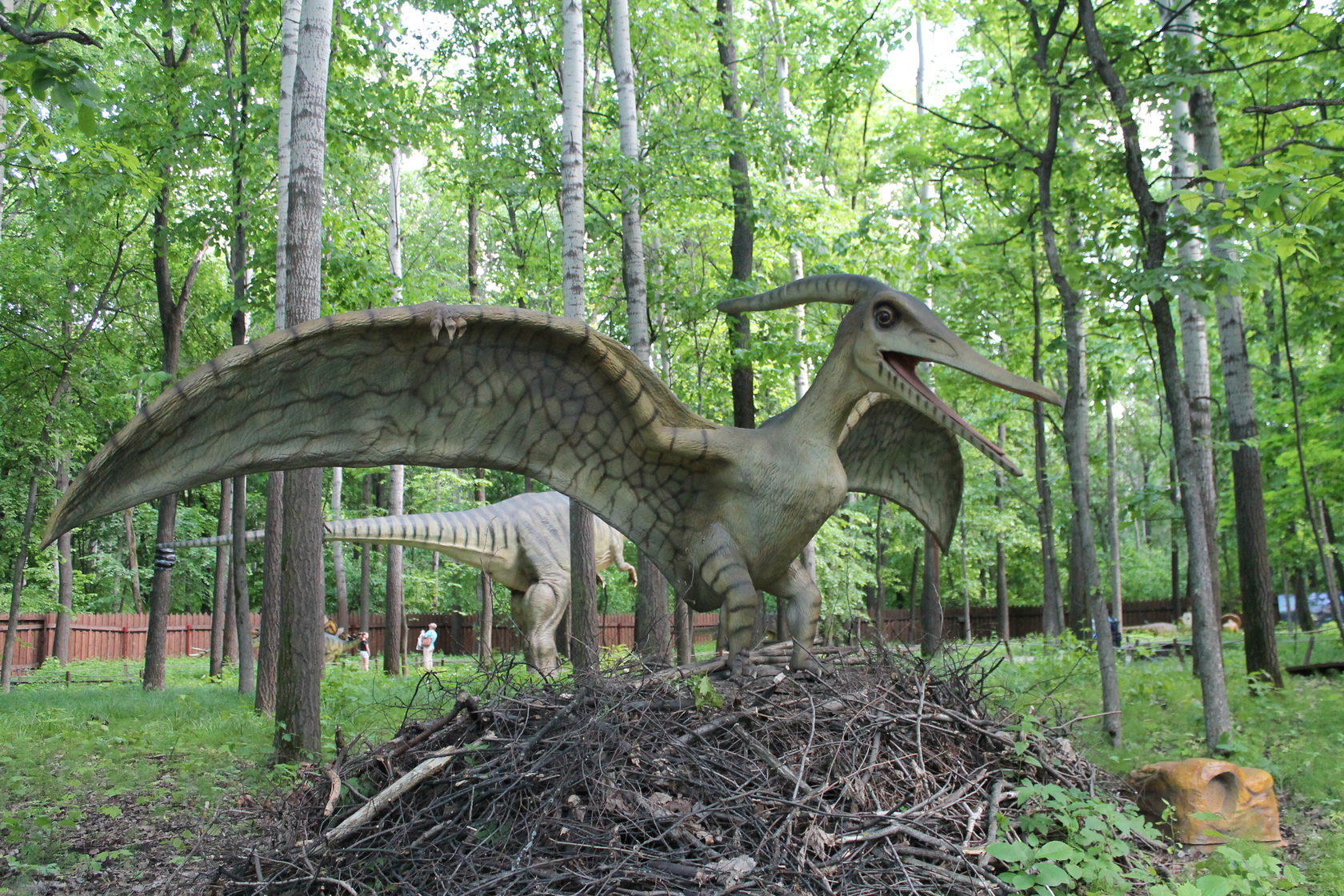 зоопарк новосибирск динозавры