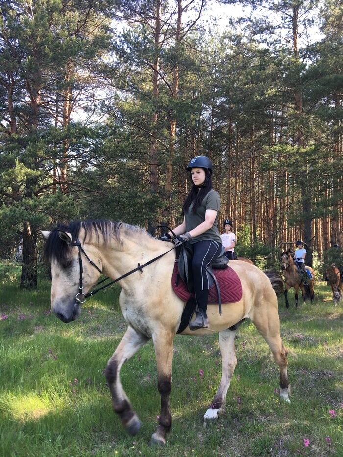 Школа верховой езды в Ростове-на-Дону — обучение катанию на лошади, уроки