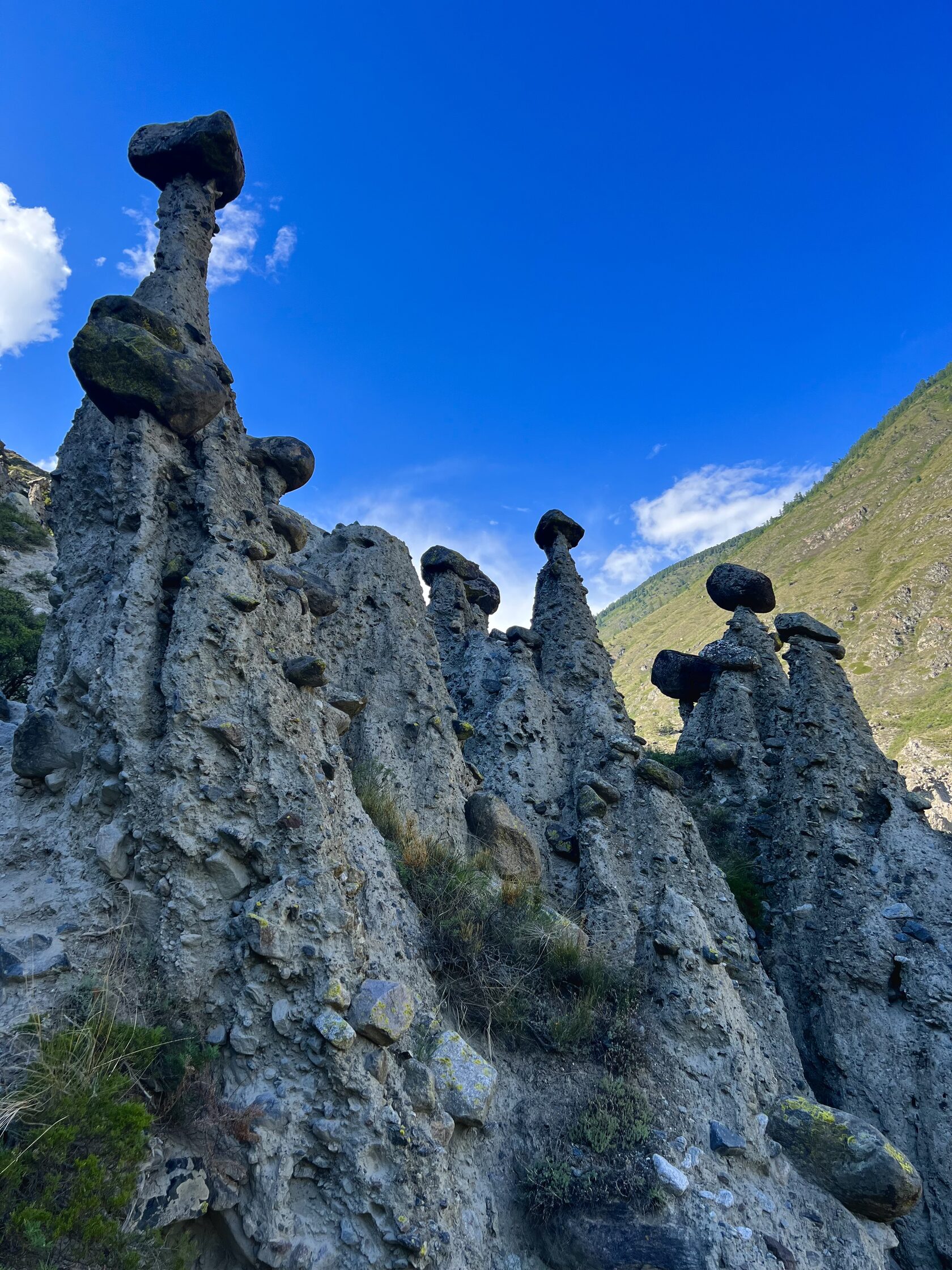 Каменные грибы